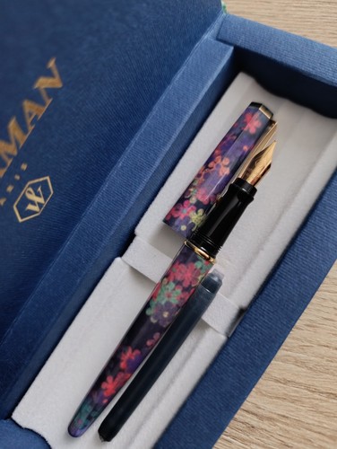 Waterman paris stilografica - paris,